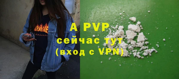 ешки Горнозаводск