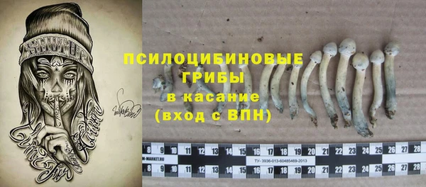 гидропоника Горно-Алтайск