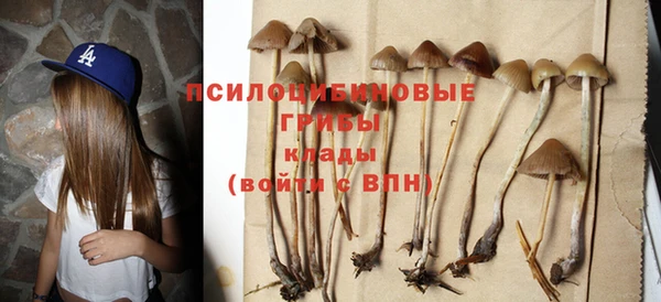 ешки Горнозаводск