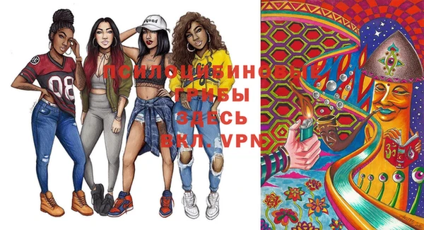 ПСИЛОЦИБИНОВЫЕ ГРИБЫ Гусев