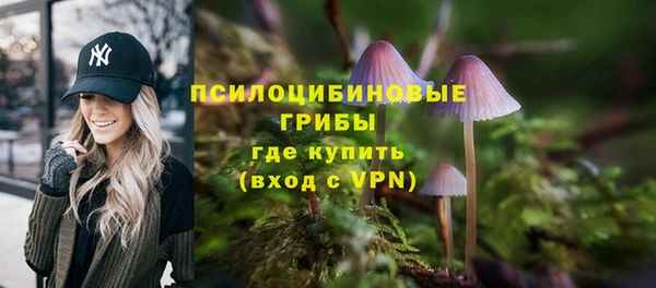 метадон Горняк