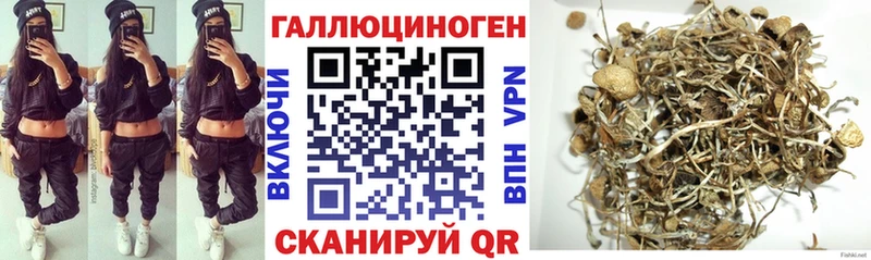 Псилоцибиновые грибы MAGIC MUSHROOMS купить закладку Коломна